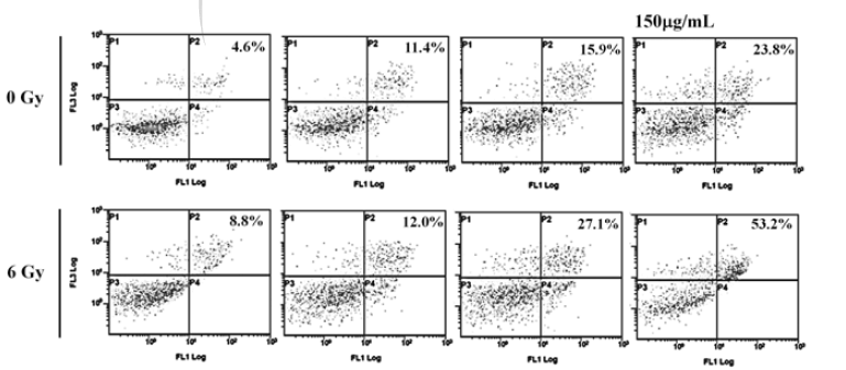 Annexin-V assay