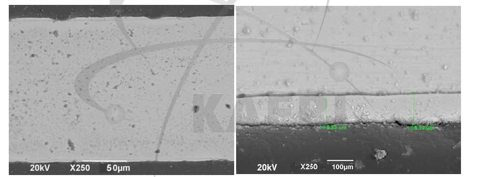 58Ni 도금층 단면