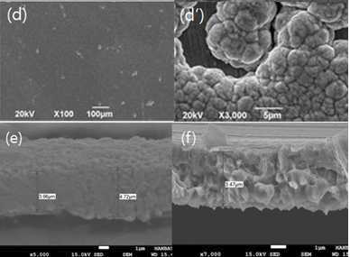 도금 층 SEM 이미지, 전류밀도 20㎃/㎠, pH (a)~(a