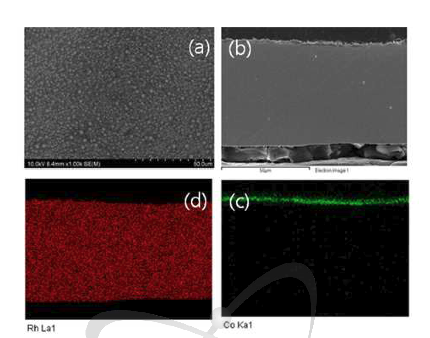Rh foil 표면에 코팅된 Co의 단면의 EDS 분석 (열처리 전)