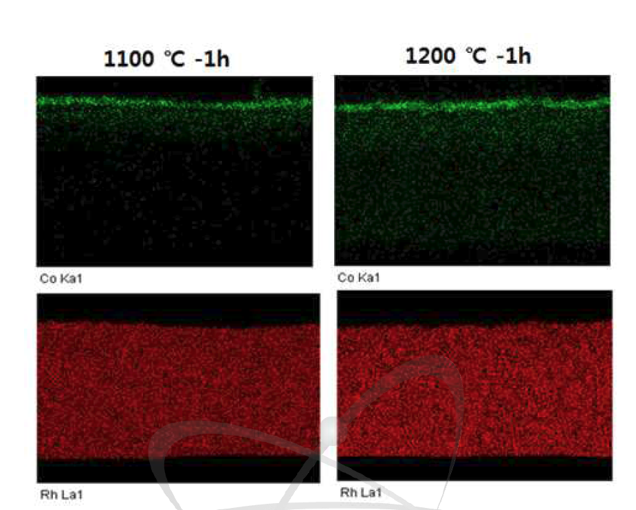 Co/Rh 단면의 열처리 온도에 따른 EDS 분석 (Ar 분위기)