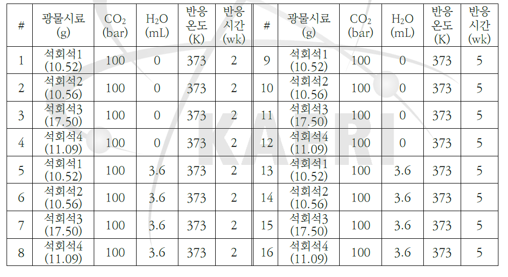 Reaction experiment condition for mineralization reaction