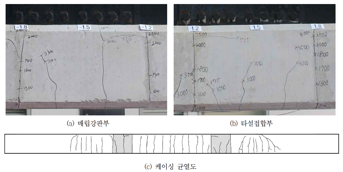 케이싱 콘크리트 균열 분포(PR-L)