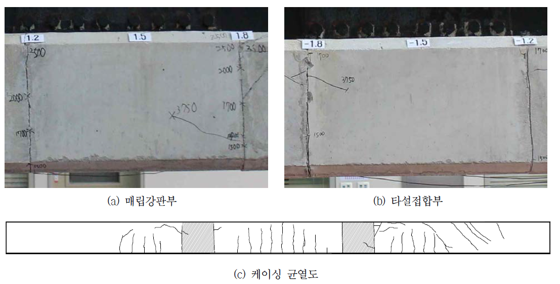 케이싱 콘크리트 균열 분포(PR-T)