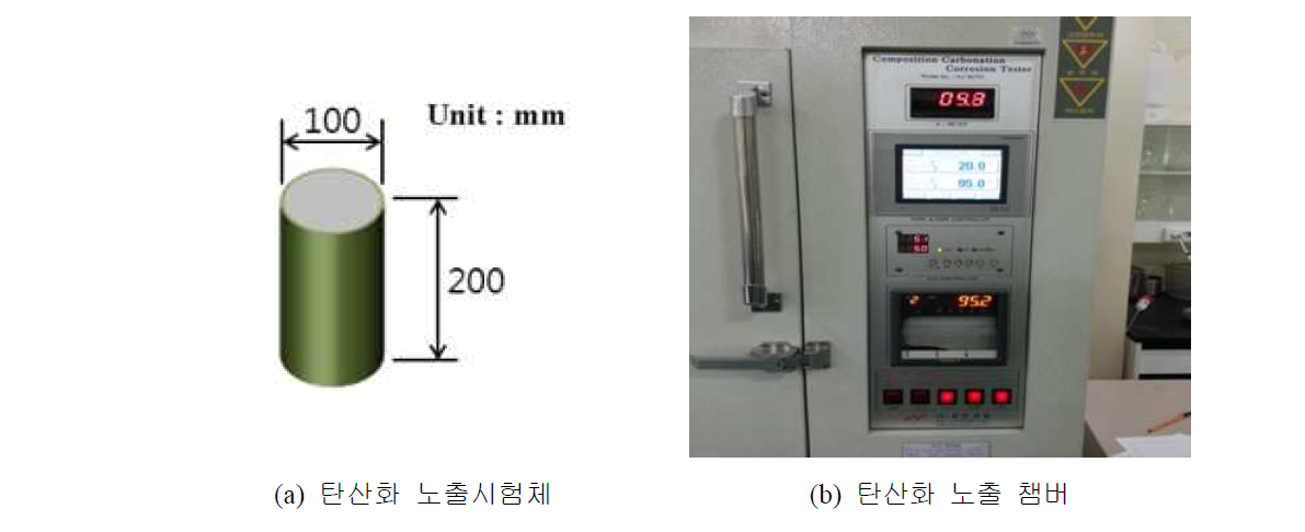 탄산화 노출시험