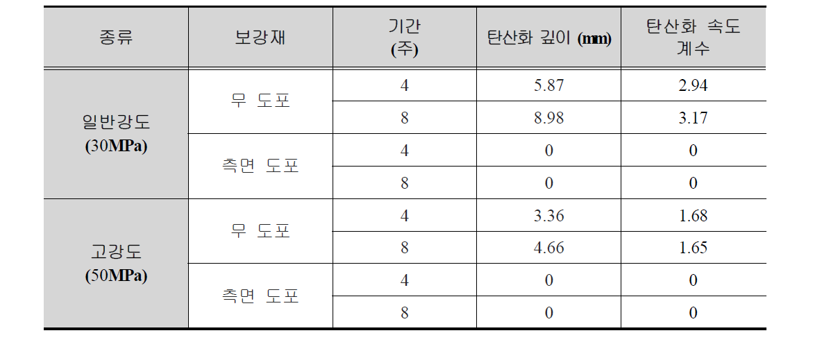 탄산화 노출시험 결과