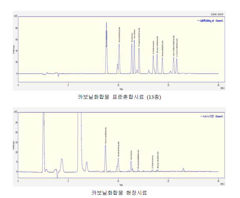 카보닐화합물 표준시료와 현장시료에 대한 크로마토그램 일례.