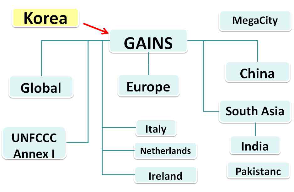 The structure of GAINS family and new model for S. Korea