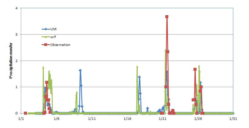 강릉에서 강수 관측치와 UM과 WRF 모사치 비교
