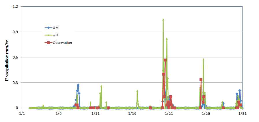 대전에서 강수 관측치와 UM과 WRF 모사치 비교