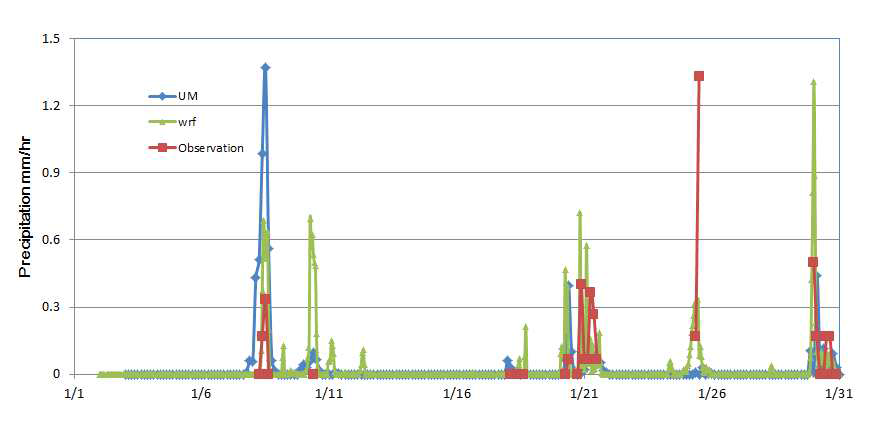 광주에서 강수 관측치와 UM과 WRF 모사치 비교