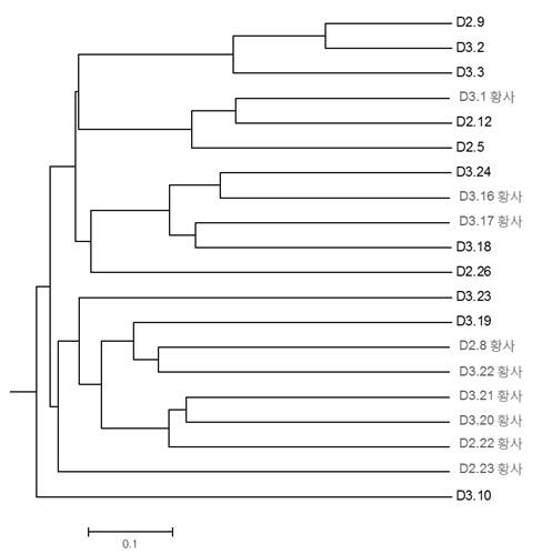 2015년 경기 지역 2월, 3월 시료의 계통수 분석