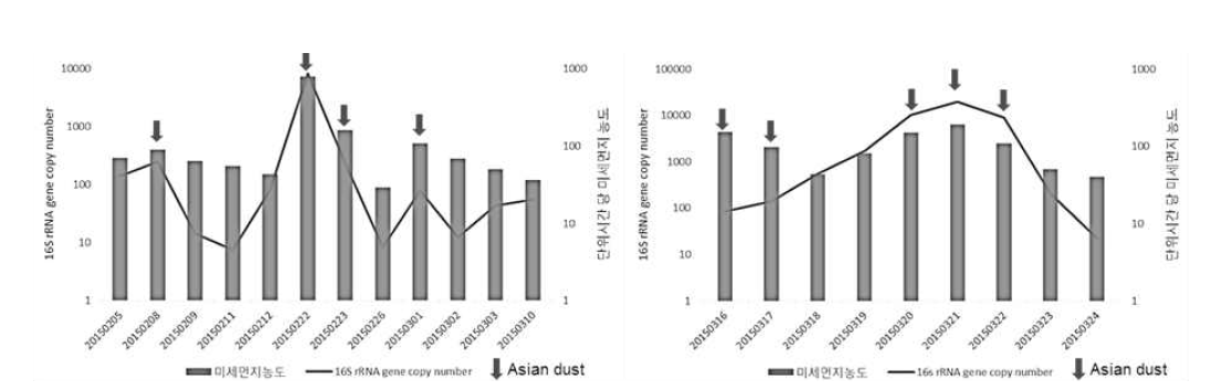 2015년 경기 지역 2월, 3월의 미세먼지 농도와 채취 시료의 16S rRNA 유전자 정량 분석