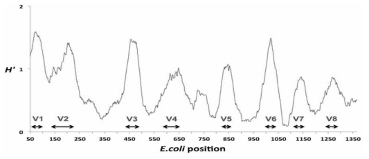 E.coli 16S rRNA 유전자의 hypervariable region