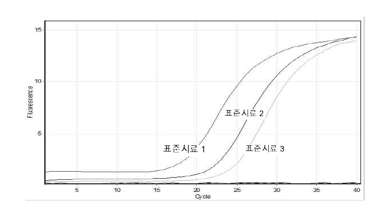 16s rRNA 유전자 정량을 위해 제작된 프라이머를 활용한 Real-time PCR 증폭곡선