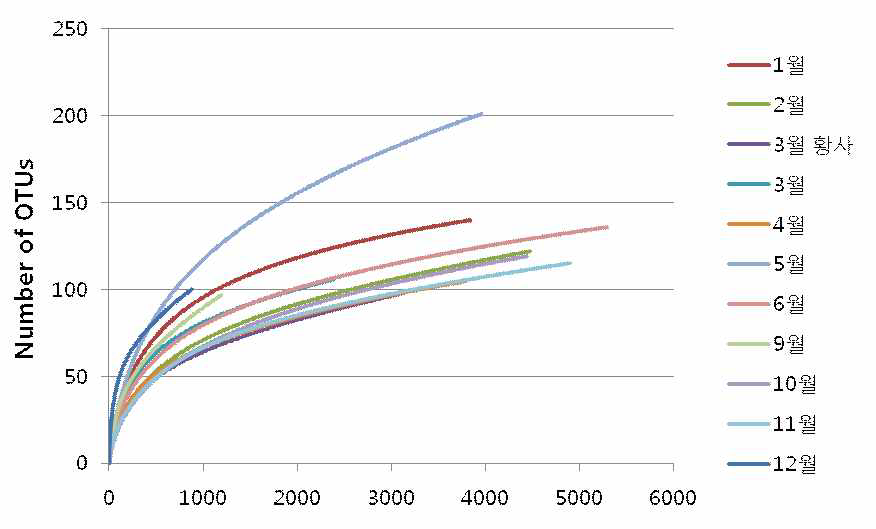 2013년 백령도 대기집중측정소 시료의 월별 rarefaction 그래프