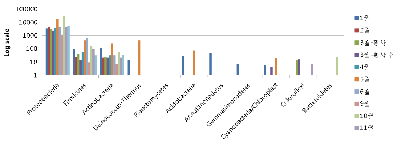 2013년 백령도 대기집중측정소 시료의 월별 phylum 군집 분석 결과