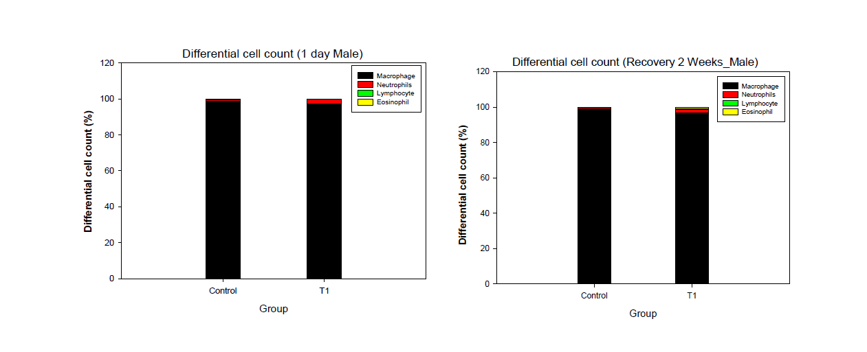 BALF에서의 differential cell 측정 결과(수컷; 좌: 노출 직후, 우: 2주 관찰기간 후)