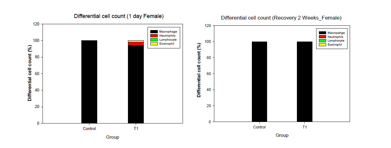 BALF에서의 differential cell 측정 결과(암컷; 좌: 노출 직후, 우: 2주 관찰기간 후)