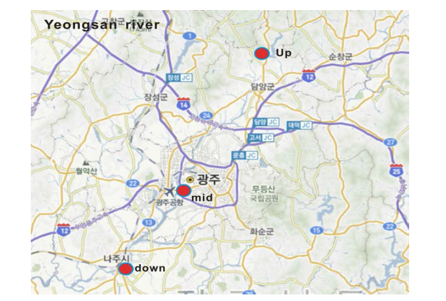 Sampling sites in Yeongsan River(source; Daum map).