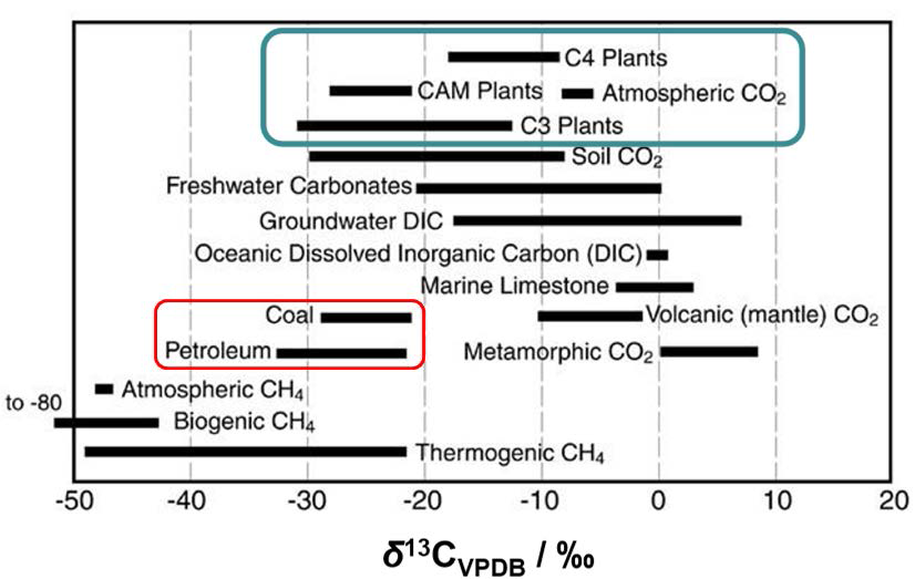 Comparison of δ13C distributions in environment.