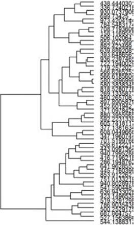 Hierarchial analysis according to m/z