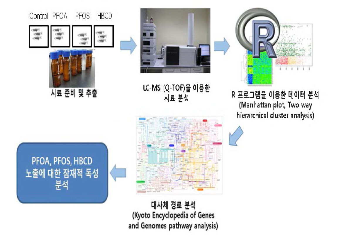 Pathway analysis of PFOA/PFOS and HBCD metabolism