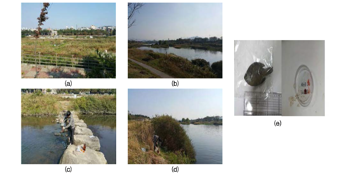 2nd sampling of the area No. 2 of concern about POP contamination at Geum river