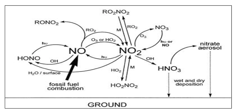 Daytime interconversions of oxidised nitrogen compounds in the troposphere.