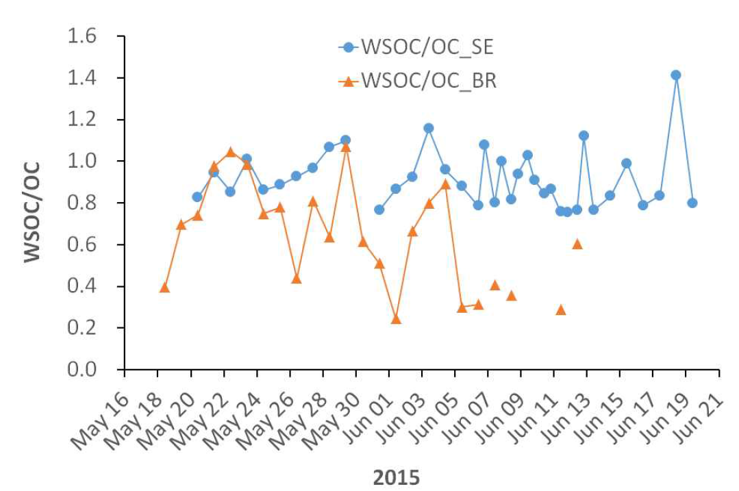 서울과 백령도 측정소의 WSOC/OC 성분비