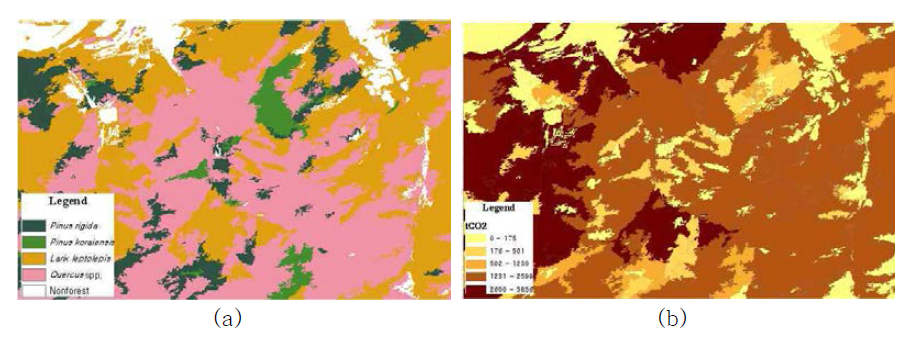 아리랑 2호 위성영상을 활용한 임상분류(a)와 추정 탄소저장량(b)