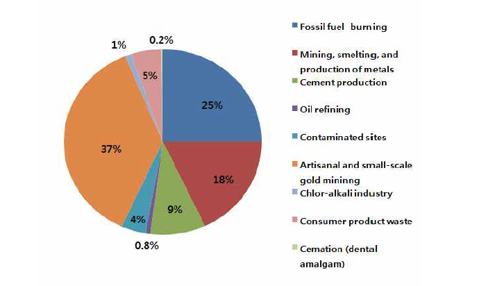 Proportion of anthropogenic emissions of mercury to air from various sectors