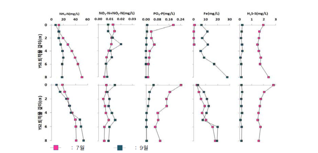 Profile of dissolved element in pore water from core sediment in Juksan Weir.