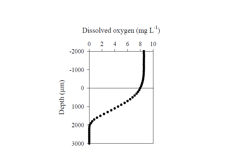 정점 ND2 sediment-water interface에서의 산소 농도