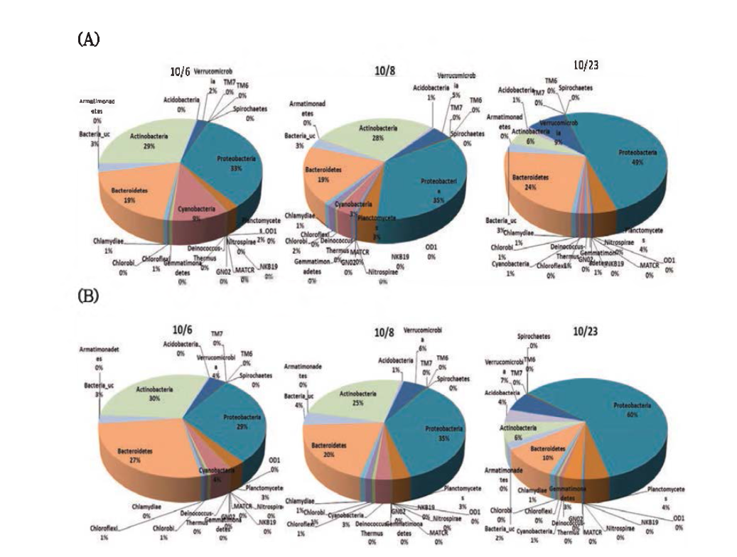 Bacteria composition profiles at Experimental system 2(A) and 3(B) .