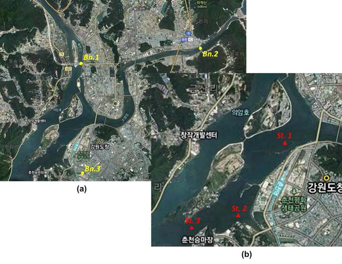 Location maps showing the water quality/algal monitoring sites: (a) the end of tributaries and (b) the lake internal points.