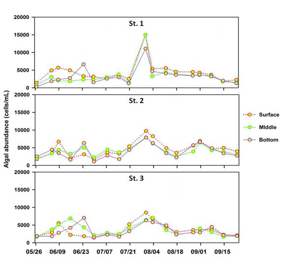 Algal abundance at the surface, middle, and bottom layers of St. 1∼3.