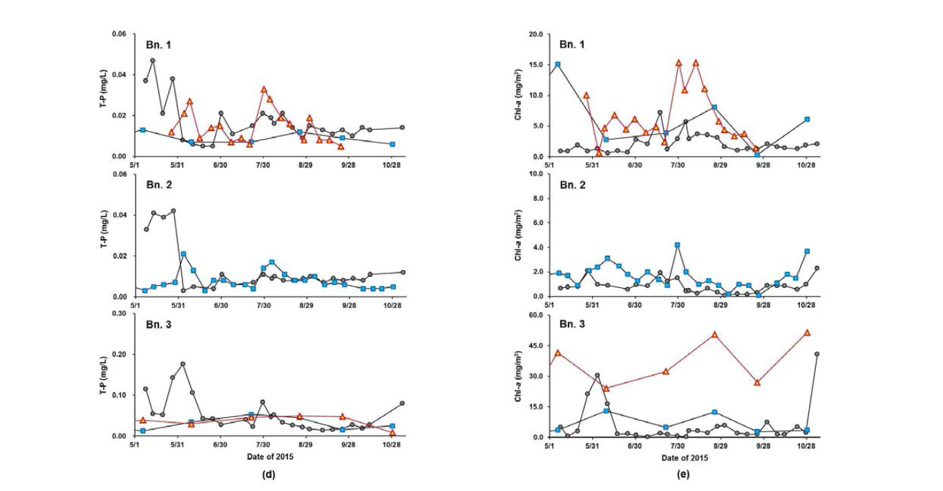 Temporal variation of water quality variables measured at Bn, 1∼3: (a) TP and (b) Chl-a.