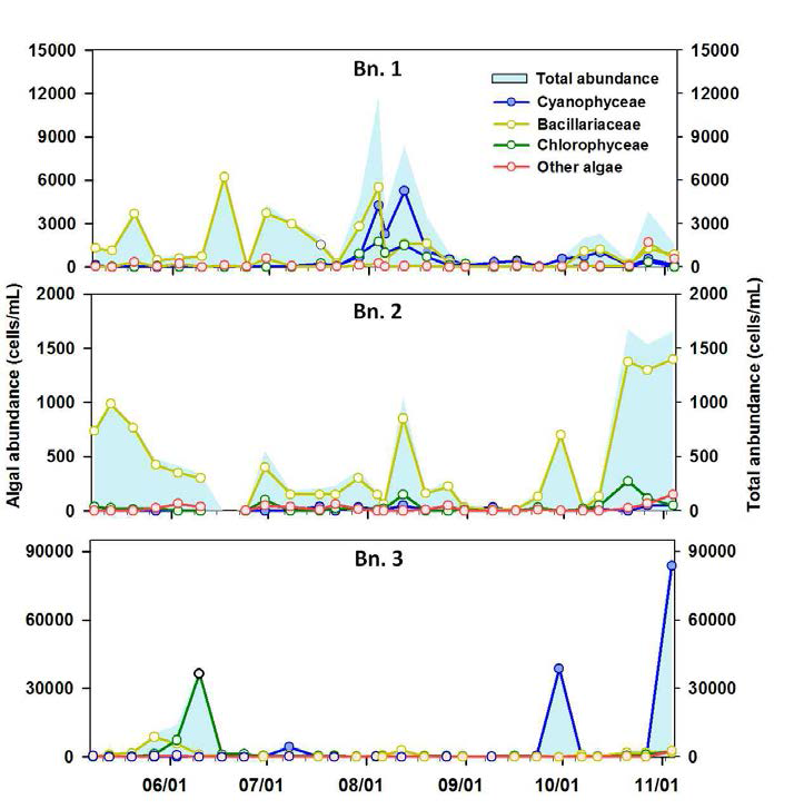 Seasonal variation of algal abundance at Bn. 1∼3.