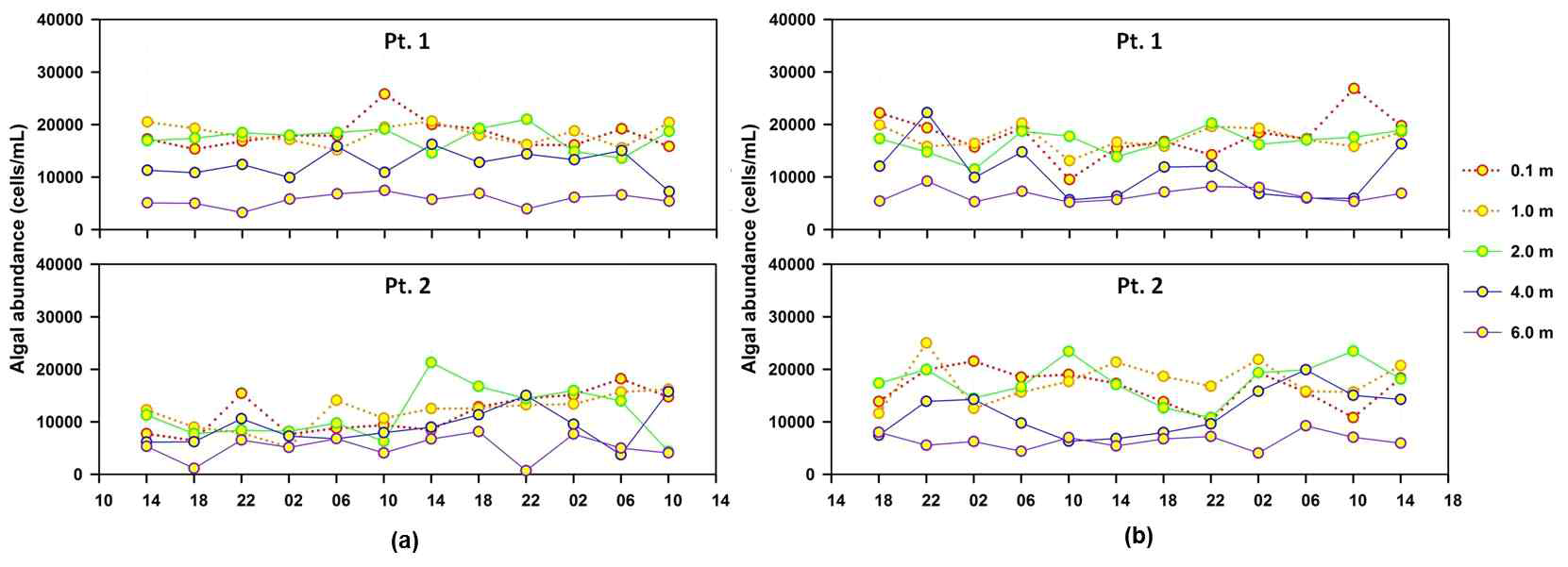 48-hr continuous monitoring (4-hr gap) of vertical algal abundance at Pt. 1 and 2: (a) Aug. 4∼6 and (b) Aug. 31∼Sep. 2.