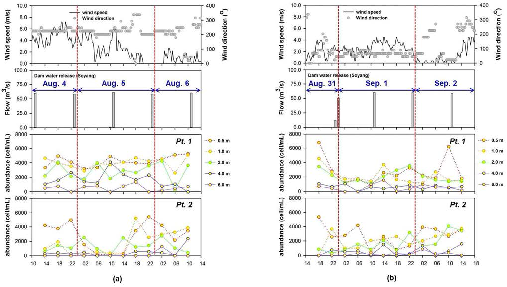 Hourly variations on the vertical distribution of Microcystis sp. at Pt. 1 and 2, compared to the wind speed/direction and Soyang dam water release: (a) Aug. 4∼6 and (b) Aug. 31∼Sep. 2.