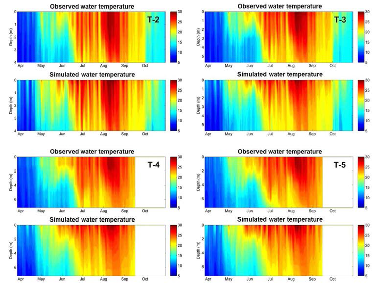 Model fit on the vertical profiles of water temperature observed at TC-2∼5 by using thermistor chain from Apr. to Oct. 2015.