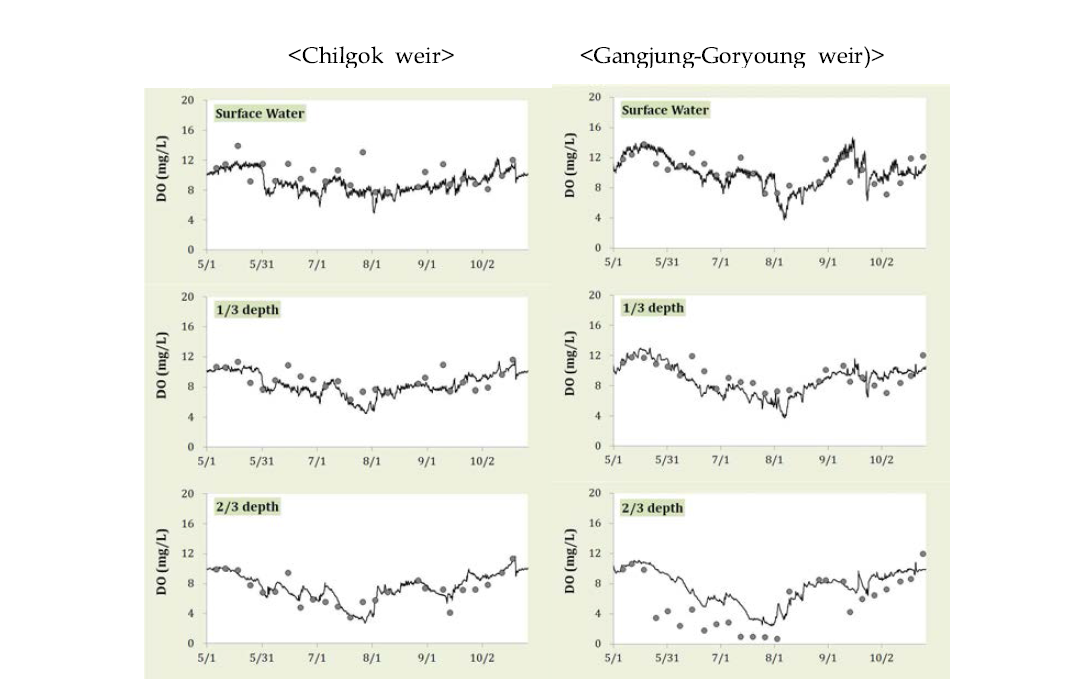 Model validation results of vertical distributions of DO concentrations at the immediate upstream of the weirs.