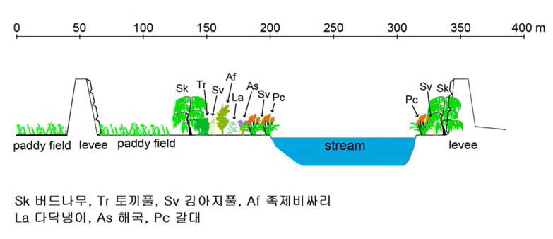Cross-sectional profile with vegetation covers along Namdaecheon