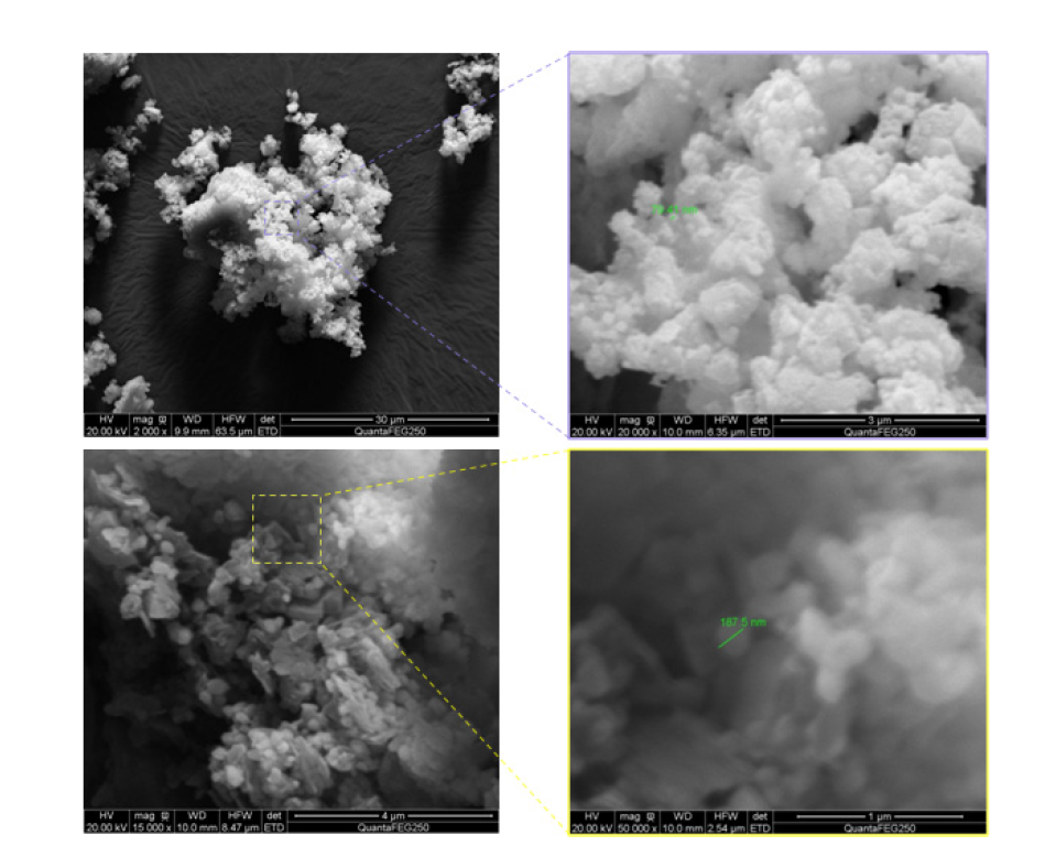 FE-SEM images of photocatalysts in building materials (paints).