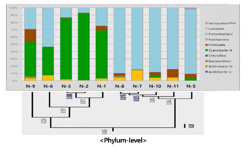 Bacterial diversity of phylum and genus-level based on ^-Diversity analysis and average of genus-level belongs to dominant wind direction.