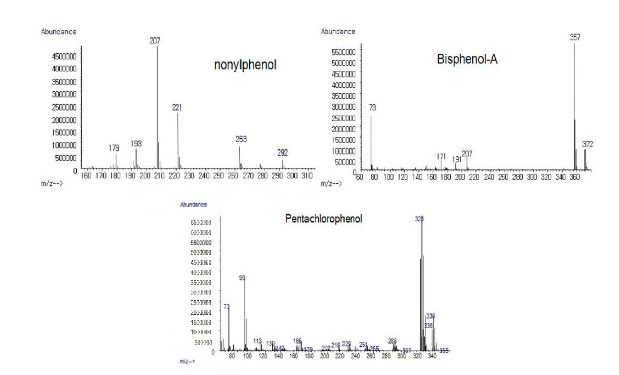 Mass spectra of standard of alkylphenols.