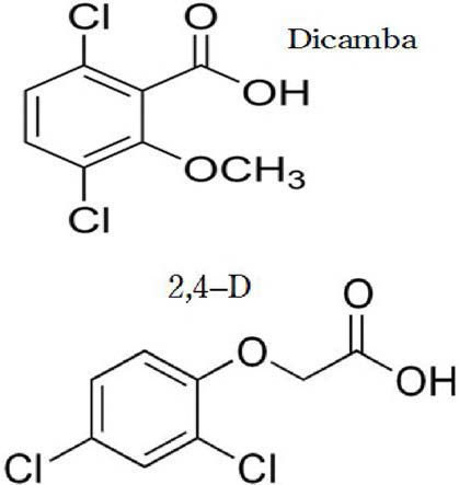 Structures of dicamba and 2,4-D