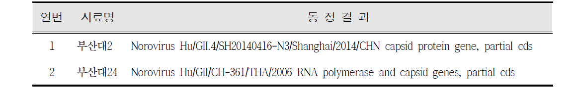 일반지점에서 검출된 노로바이러스 양성 시료의 동정 결과