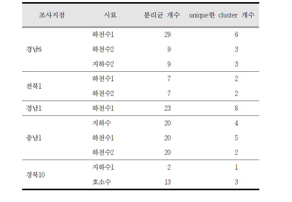 정밀조사 지점 시료에서 분리한 대장균 개수